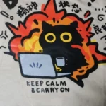 Keep Calm & Carry On T-shirt photo review