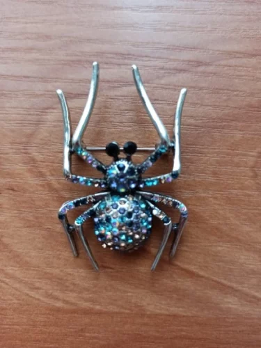 Gothic Rhinestone Spider Brooches photo review